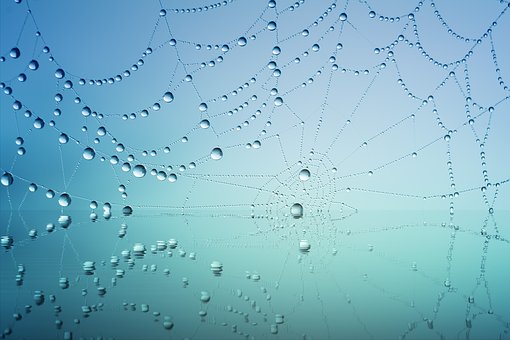 不可以免征个人所得税的福利费项目有哪些?